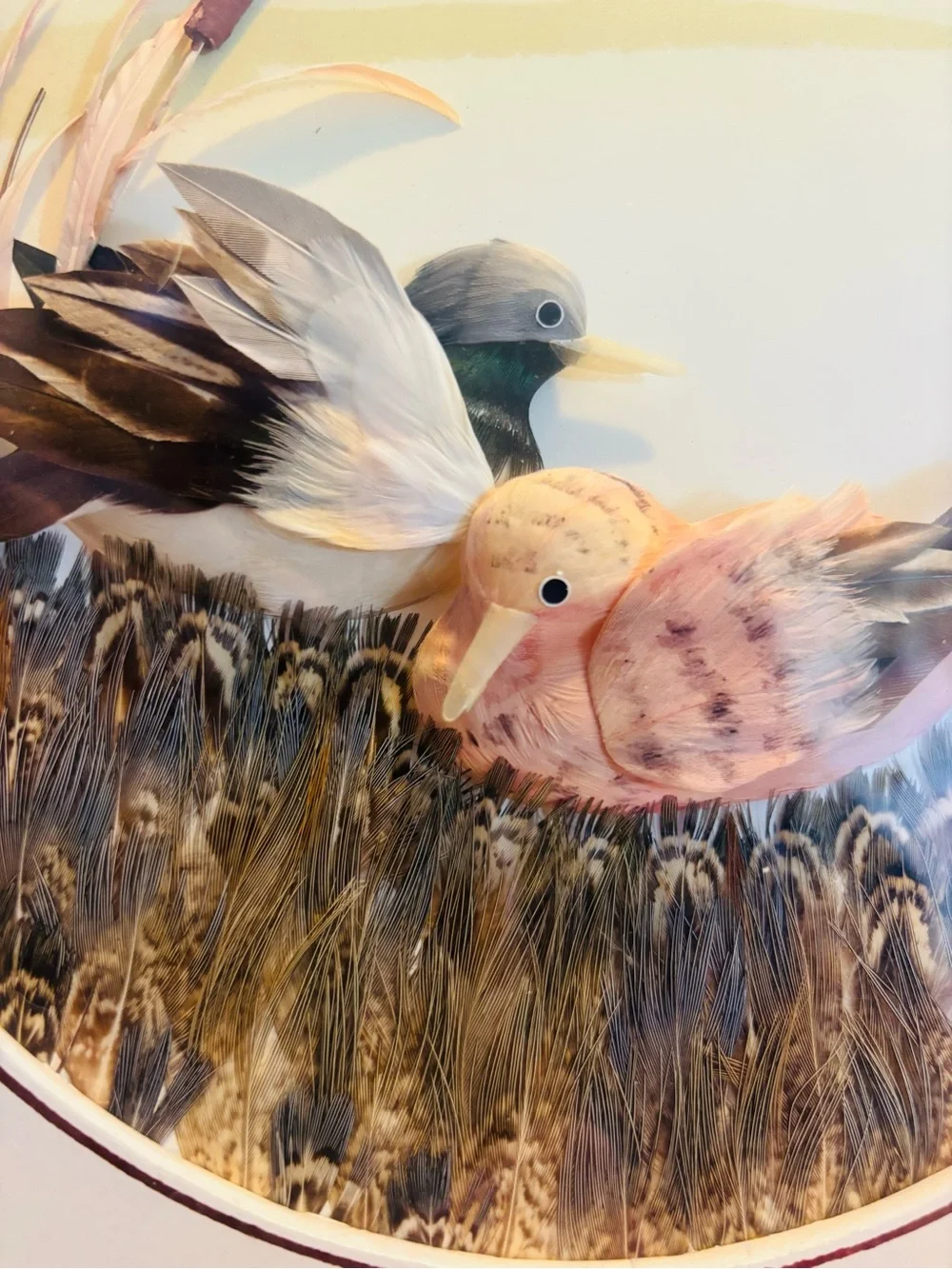 Vintage Mexican Feather Art Framed - Real Feathers Birds in Marsh Reed